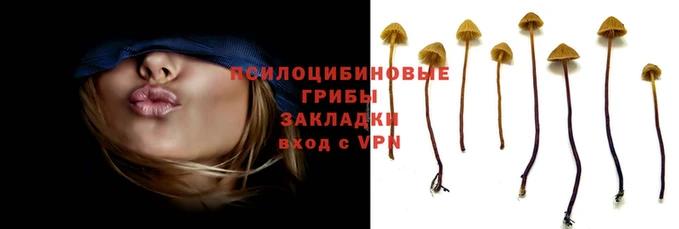 спиды Алексин