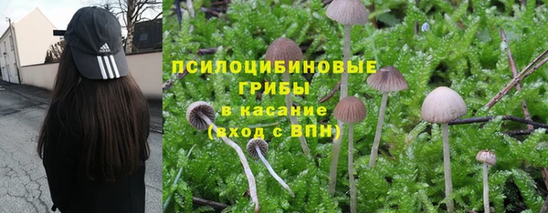 спиды Алексин